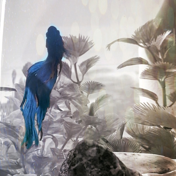 Meet your Posher, Lynsey - Picture 1 of 1